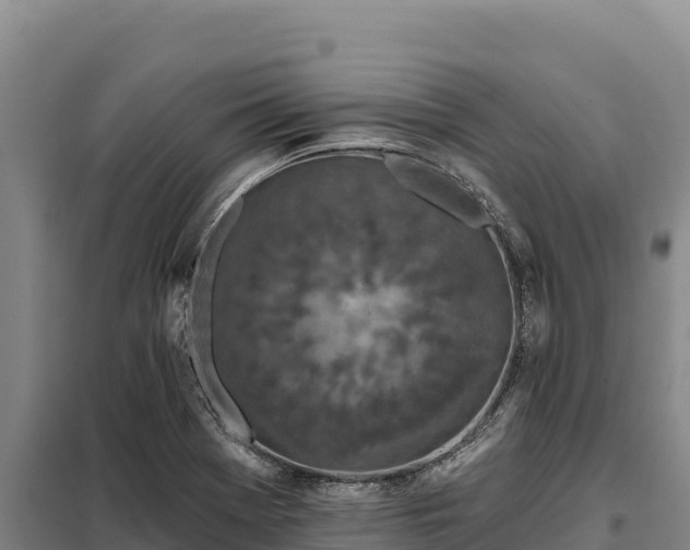 X0000099321369200805091031