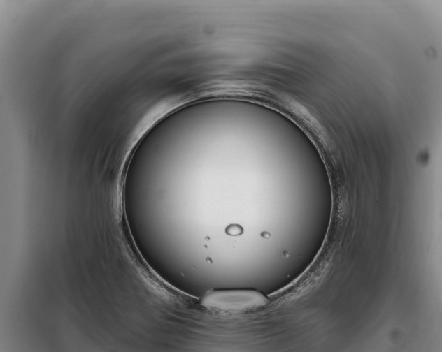 X0000099321370200805091031