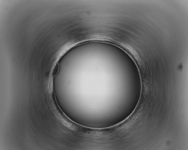 X0000099321371200805091031