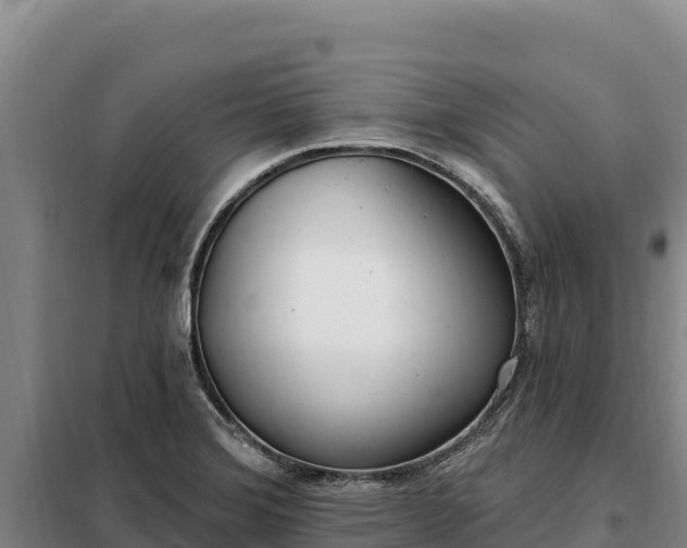 X0000099321372200805091031