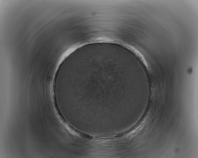 X0000099321373200805091031