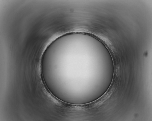 X0000099321374200805091031