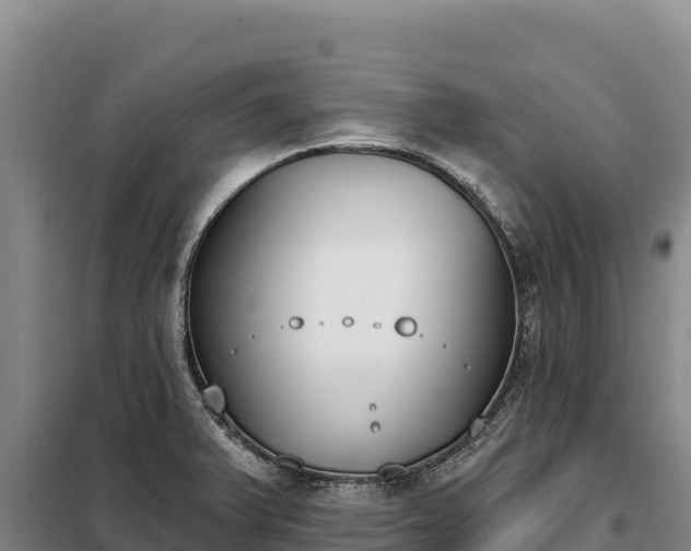 X0000099321375200805091031