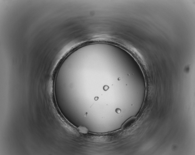 X0000099321376200805091031