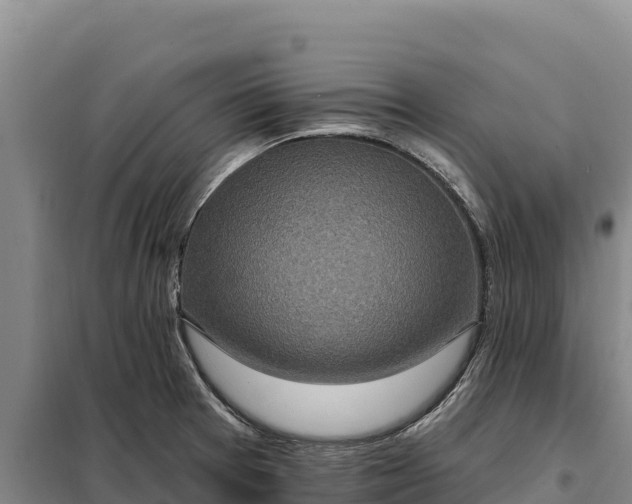 X0000099321377200805091031