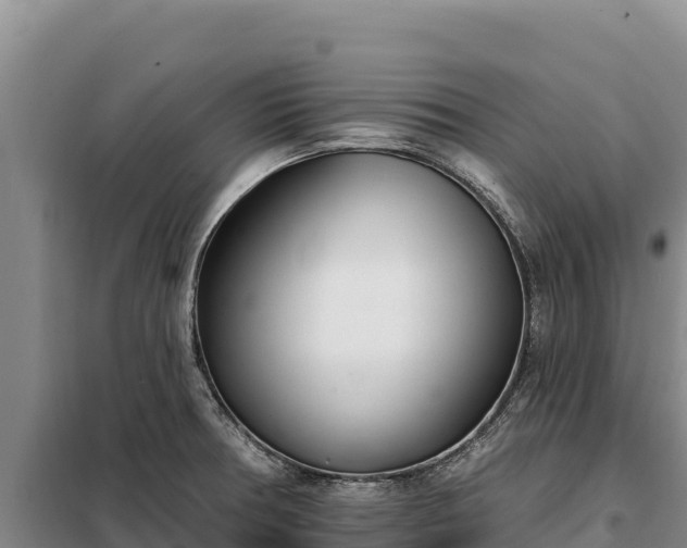 X0000099321378200805091031