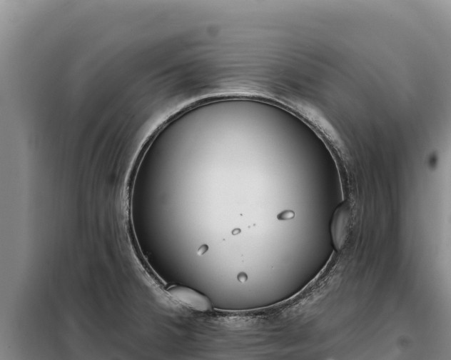 X0000099321380200805091031