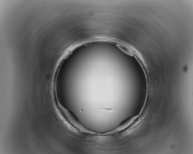 X0000099321381200805091031