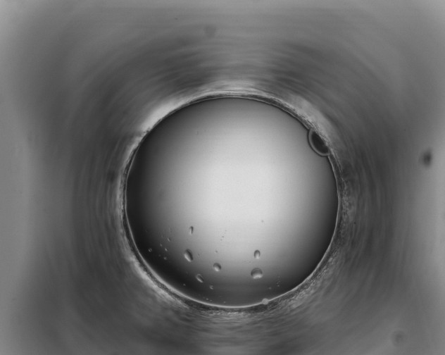 X0000099321382200805091031