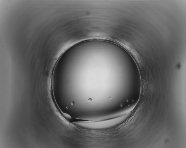 X0000099321383200805091031