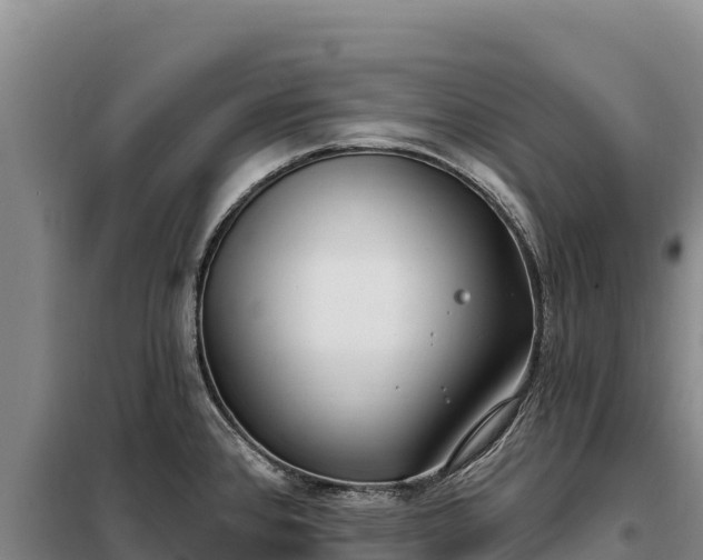 X0000099321384200805091031