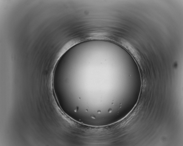 X0000099321386200805091031