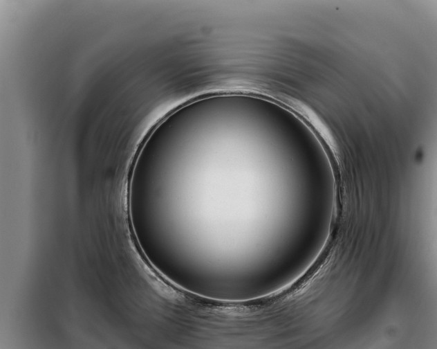 X0000099321388200805091031