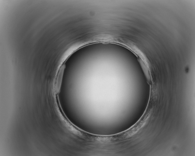 X0000099321389200805091031