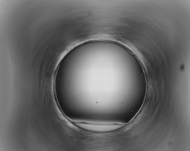 X0000099321390200805091031