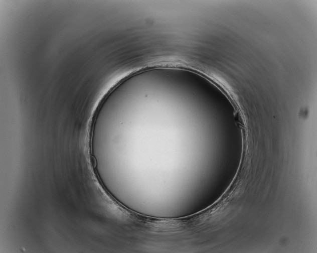 X0000099321392200805091031