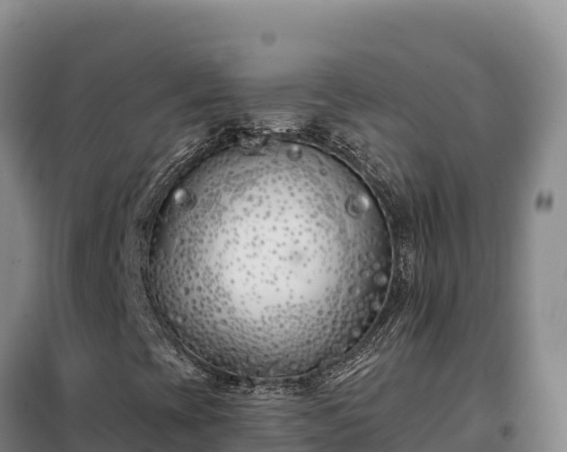 X0000099321393200805091030