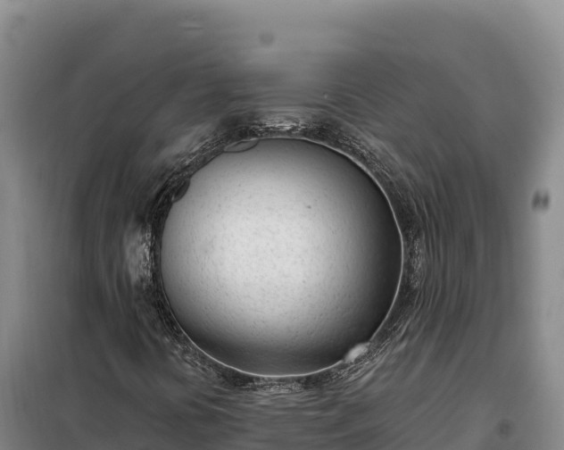 X0000099321394200805091030