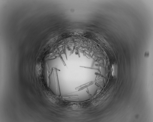 X0000099321395200805091030