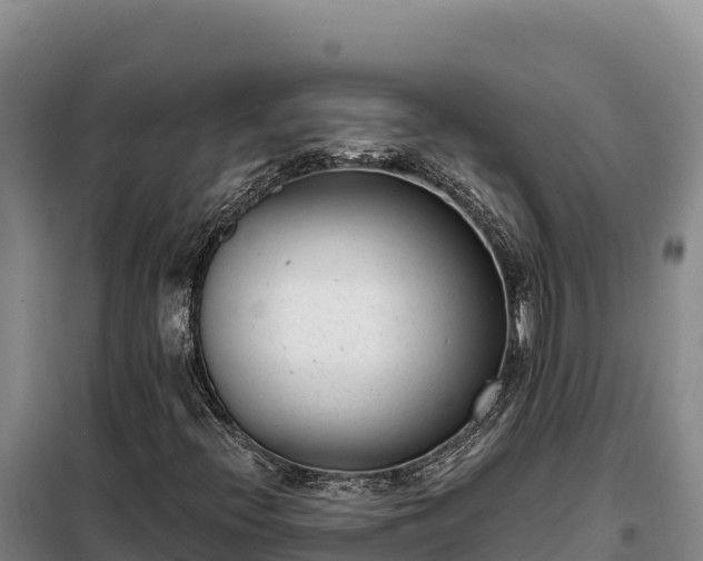 X0000099321396200805091030