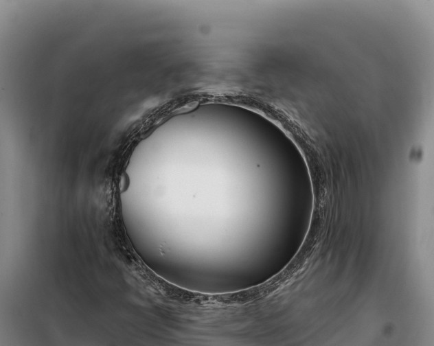 X0000099321398200805091030