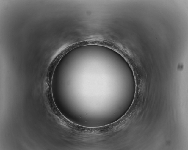 X0000099321400200805091031