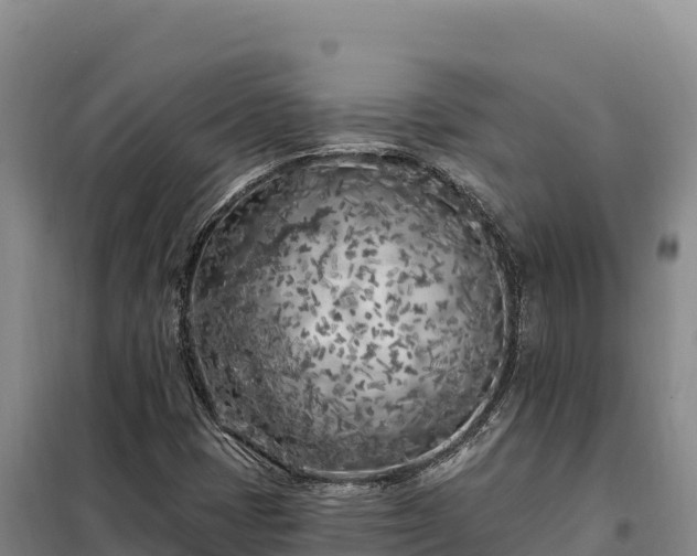 X0000099321401200805091031