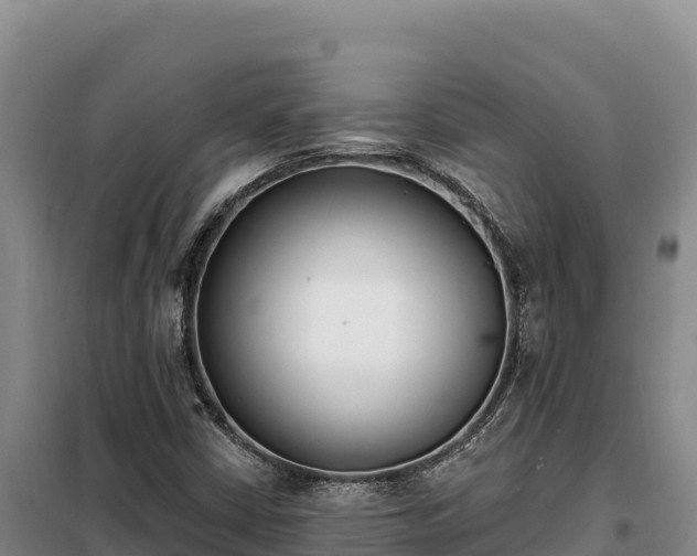 X0000099321402200805091031