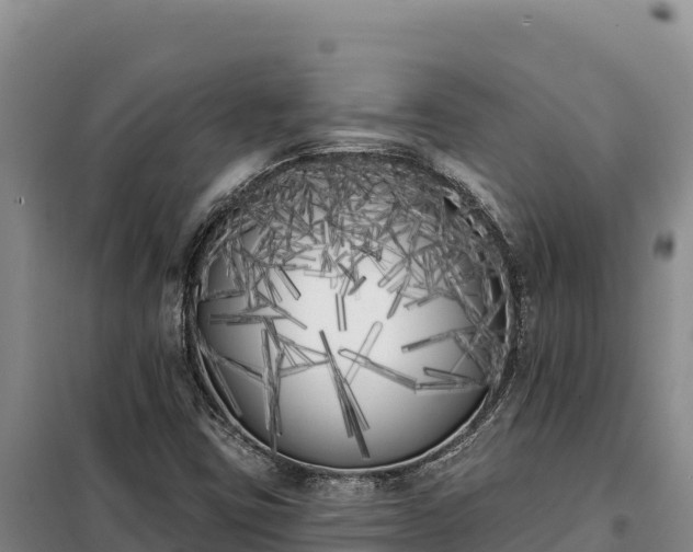 X0000099321403200805091031