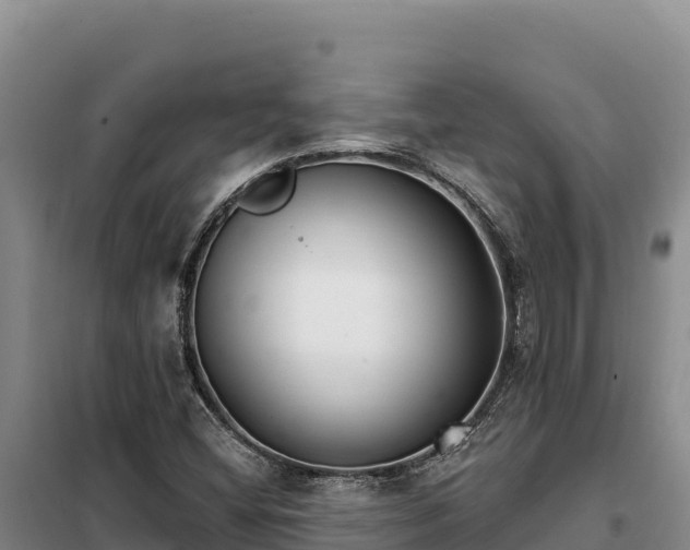 X0000099321404200805091031