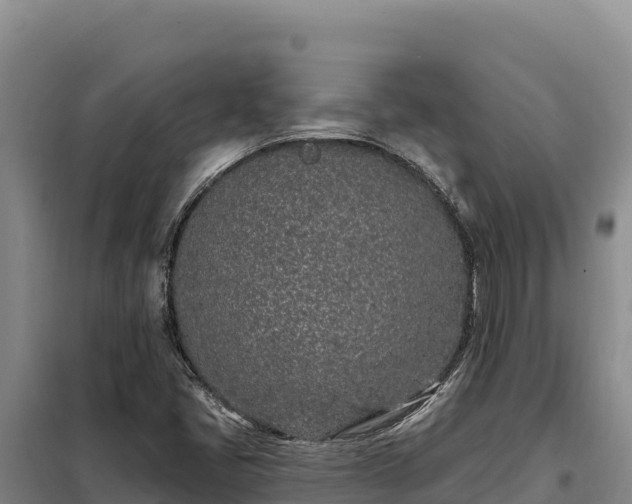 X0000099321405200805091031