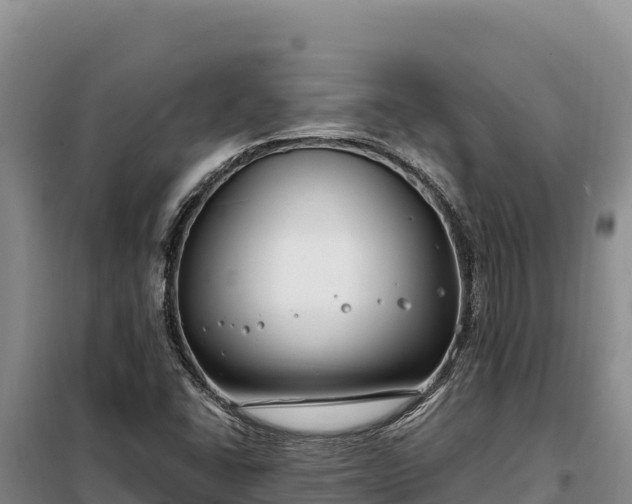 X0000099321406200805091031