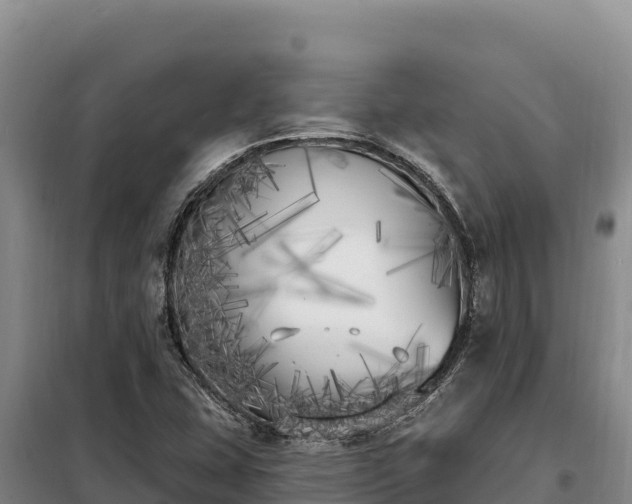 X0000099321407200805091031