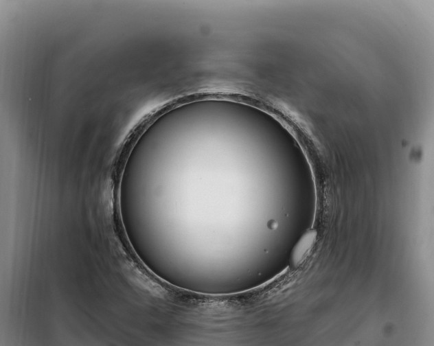 X0000099321408200805091031