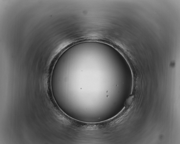 X0000099321410200805091031