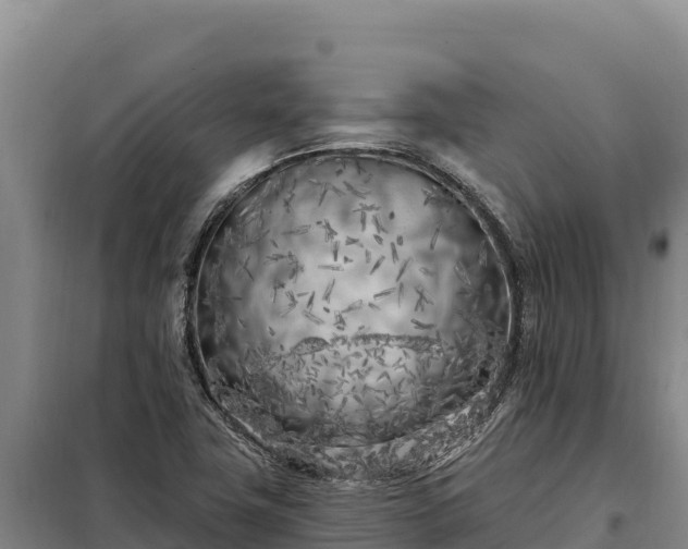 X0000099321411200805091031