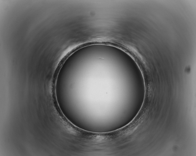 X0000099321412200805091031