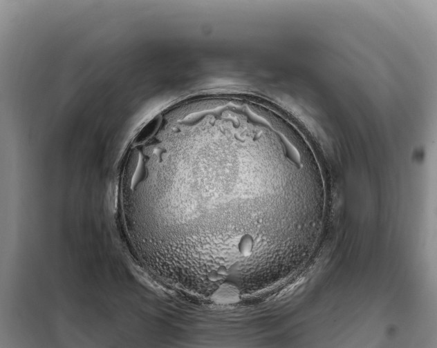 X0000099321413200805091031