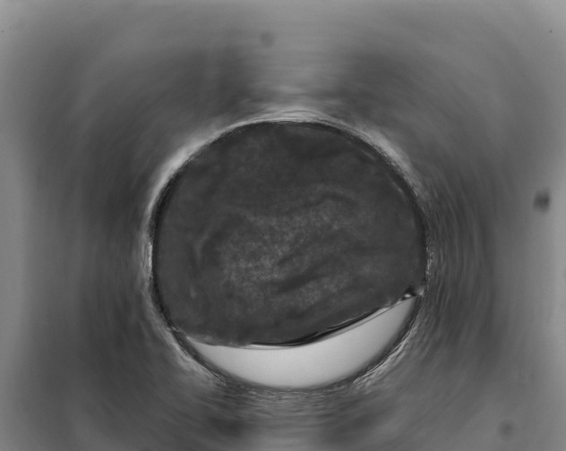 X0000099321414200805091031