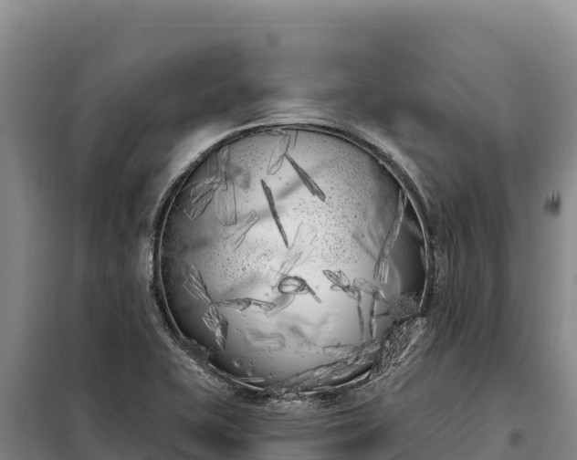 X0000099321415200805091031