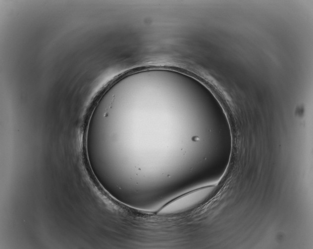 X0000099321416200805091031