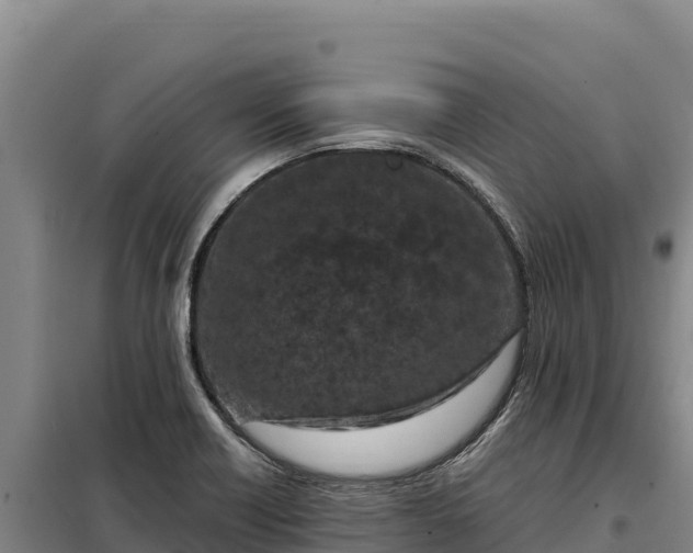 X0000099321418200805091031