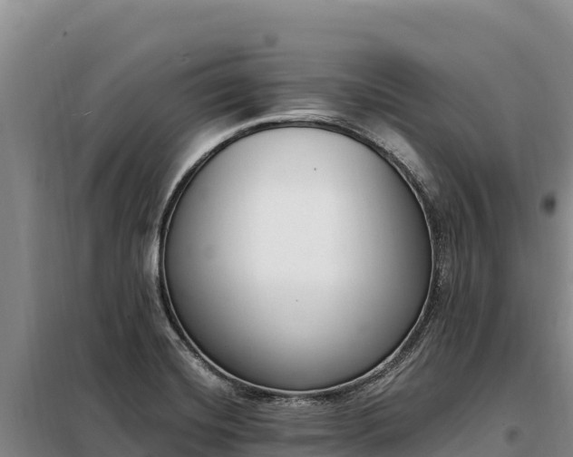 X0000099321420200805091031