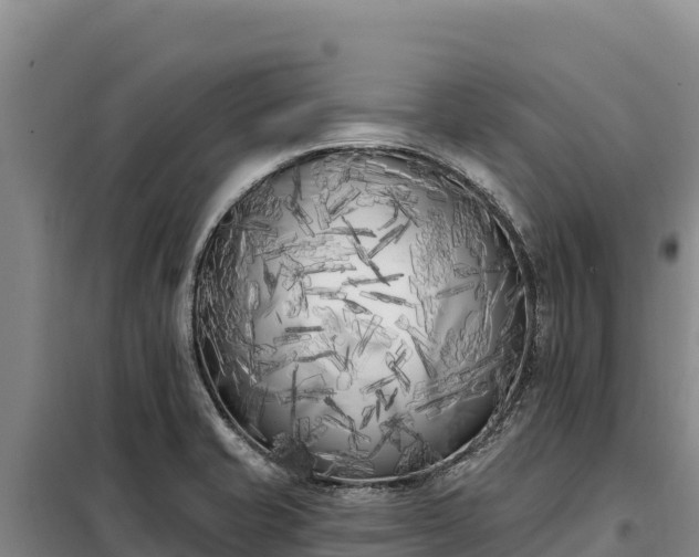 X0000099321421200805091031