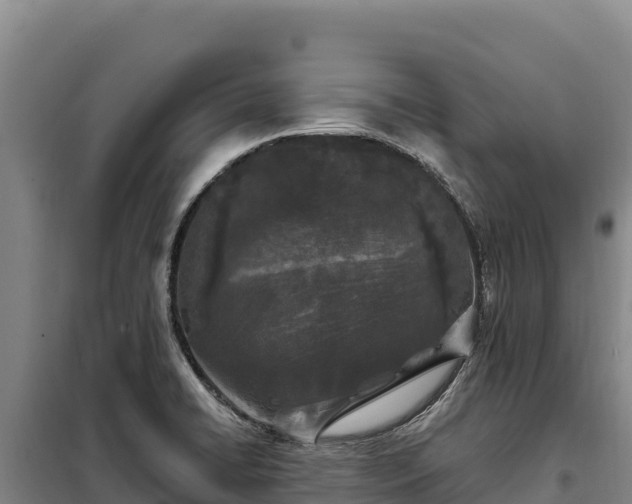 X0000099321422200805091031