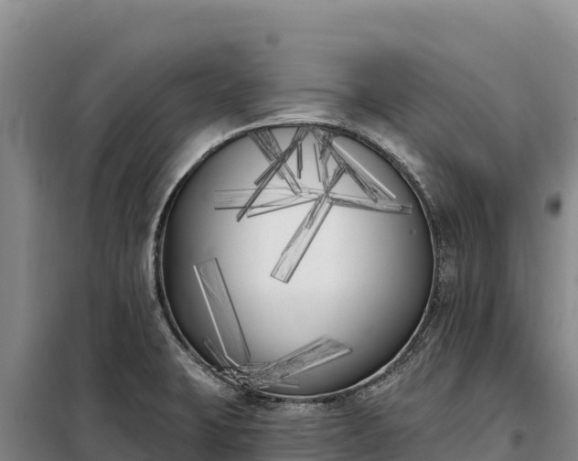 X0000099321423200805091031