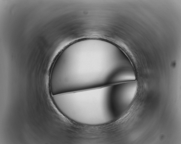 X0000099321424200805091031