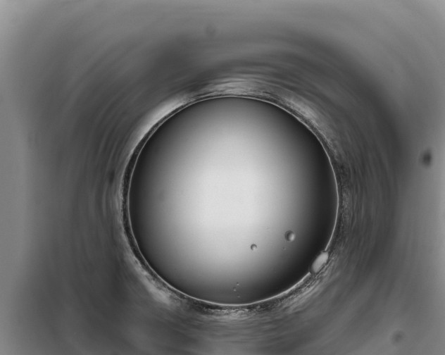 X0000099321426200805091031