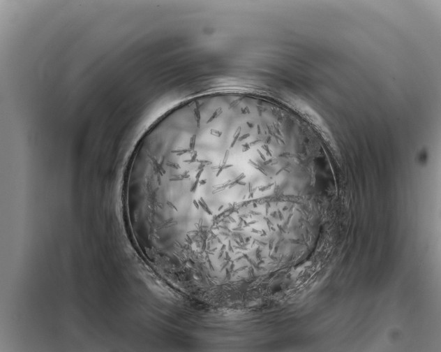 X0000099321427200805091031