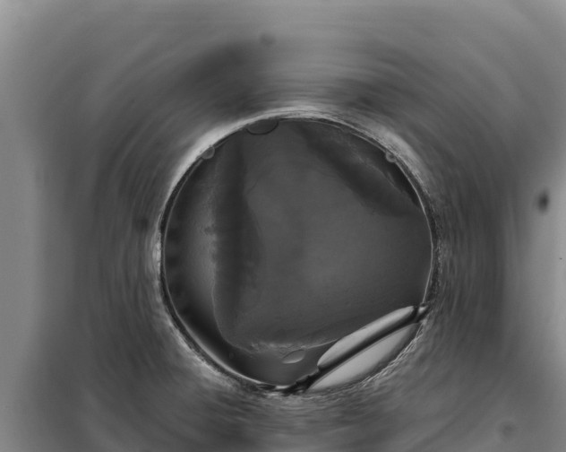 X0000099321428200805091031